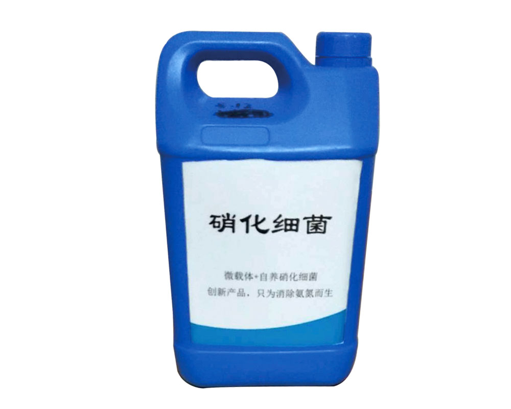 ������(x��)��