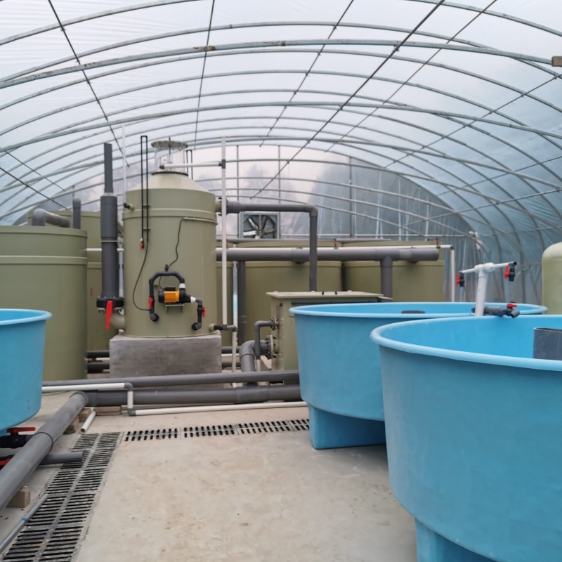 工廠化循環養殖系統