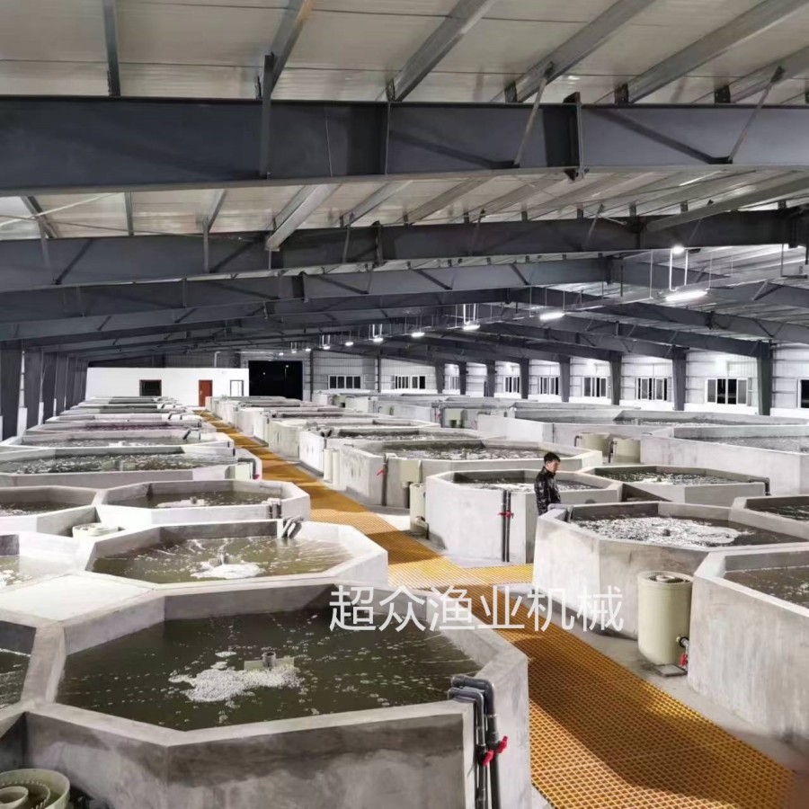 工廠化循環養殖系統