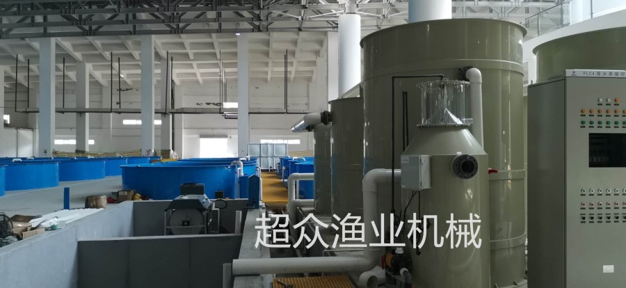 工廠化循環養殖系統