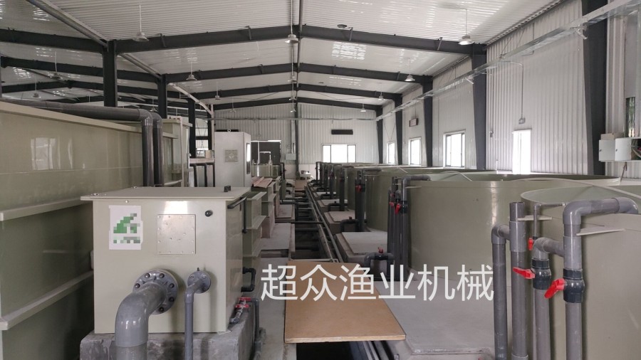 工廠化循環養殖系統