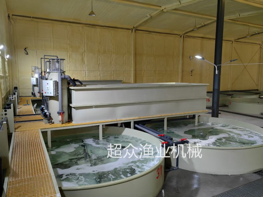 工廠化循環養殖系統